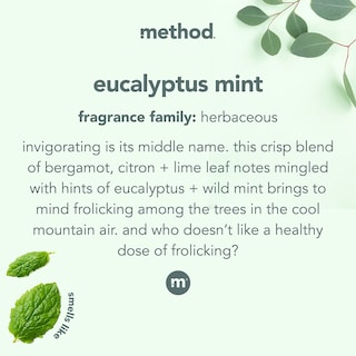 Foto 3 | Limpiador De Ducha En Aerosol Method Daily Eucalyptus Mint 800 Ml X4 - Venta Internacional.