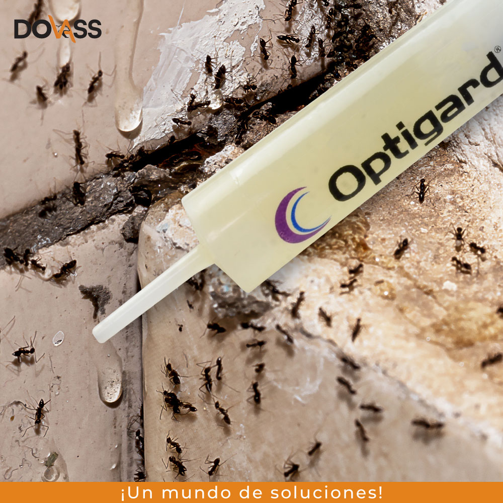 Foto 9 pulgar | Cebo en Gel contra Hormigas OptigardAnt 027SM Jeringa 30 g