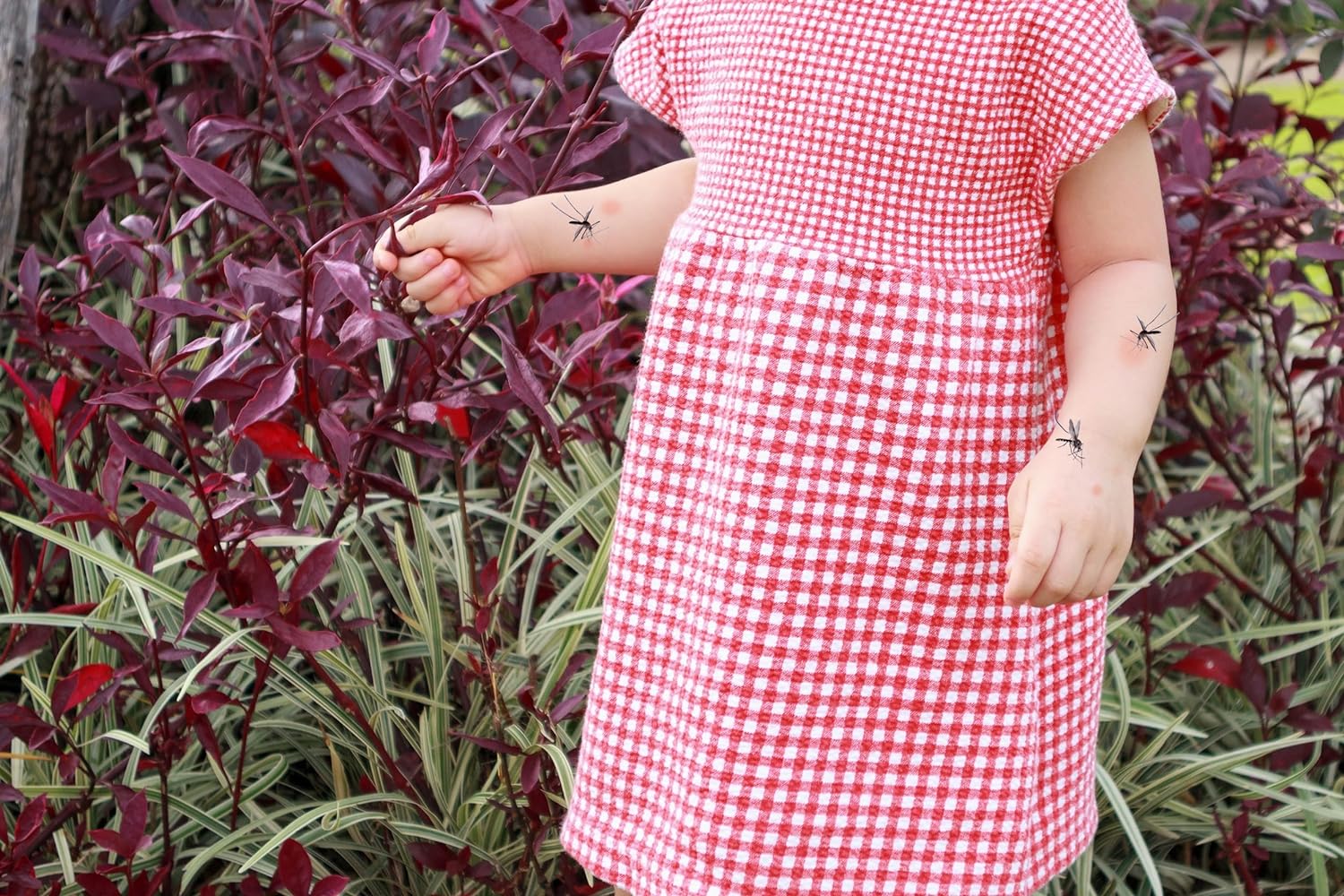 Foto 5 pulgar | Repelente Natural para Bebés y Niños Babytree