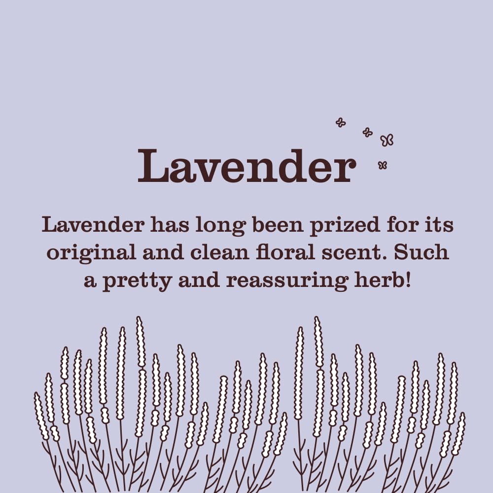 Foto 2 | Potenciadores De Aroma Para Lavandería Mrs. Meyer's Clean Day Lavender 530 Ml - Venta Internacional.