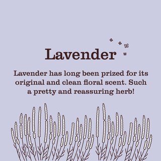 Foto 2 | Potenciadores De Aroma Para Lavandería Mrs. Meyer's Clean Day Lavender 530 Ml - Venta Internacional.