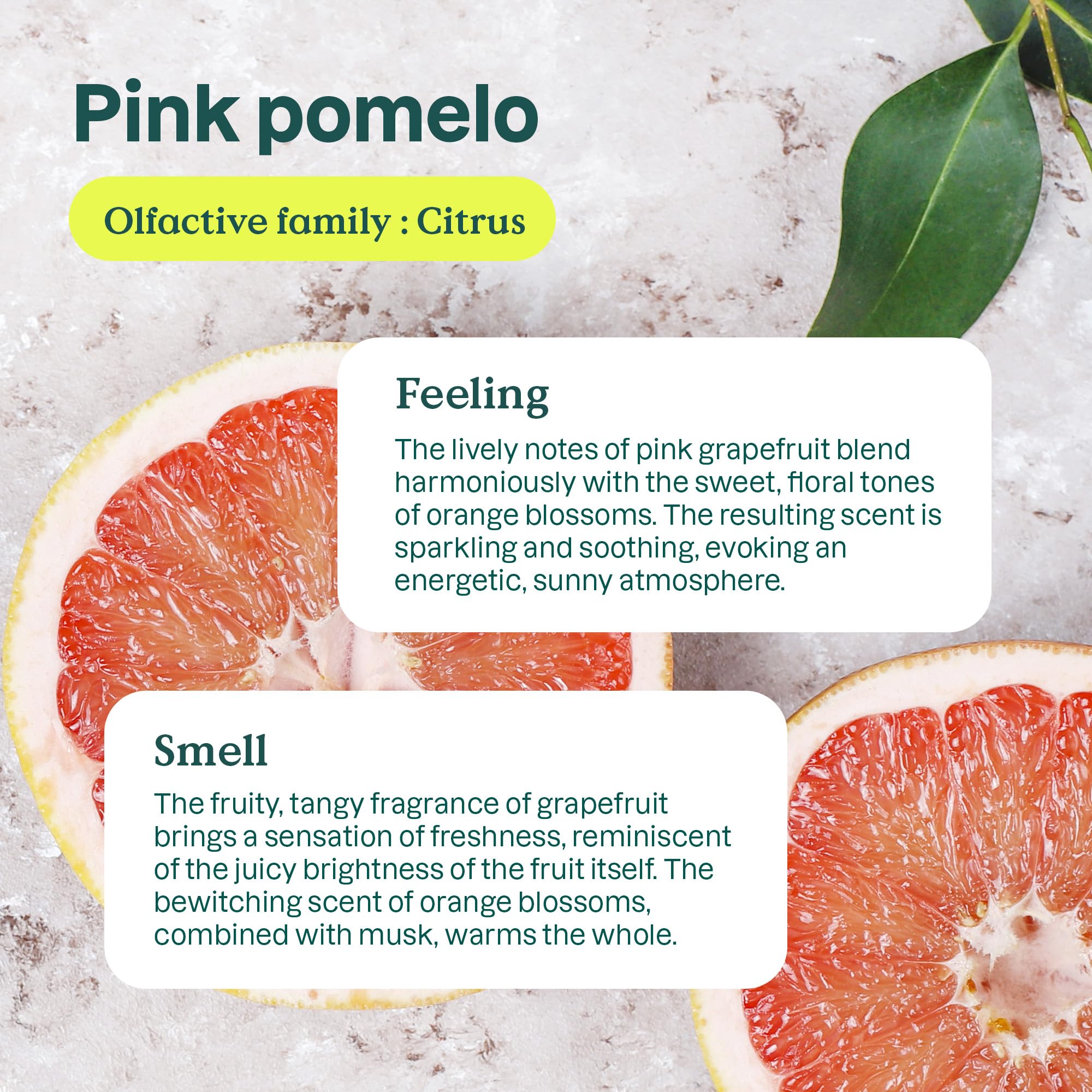 Foto 4 pulgar | Detergente Líquido Para Ropa Attitude 1,05 L, 35 Cargas De Pomelo Rosa - Venta Internacional.