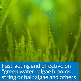 Foto 3 | Api De Control De Algas Algaefix Botella De 473 Ml - Venta Internacional.