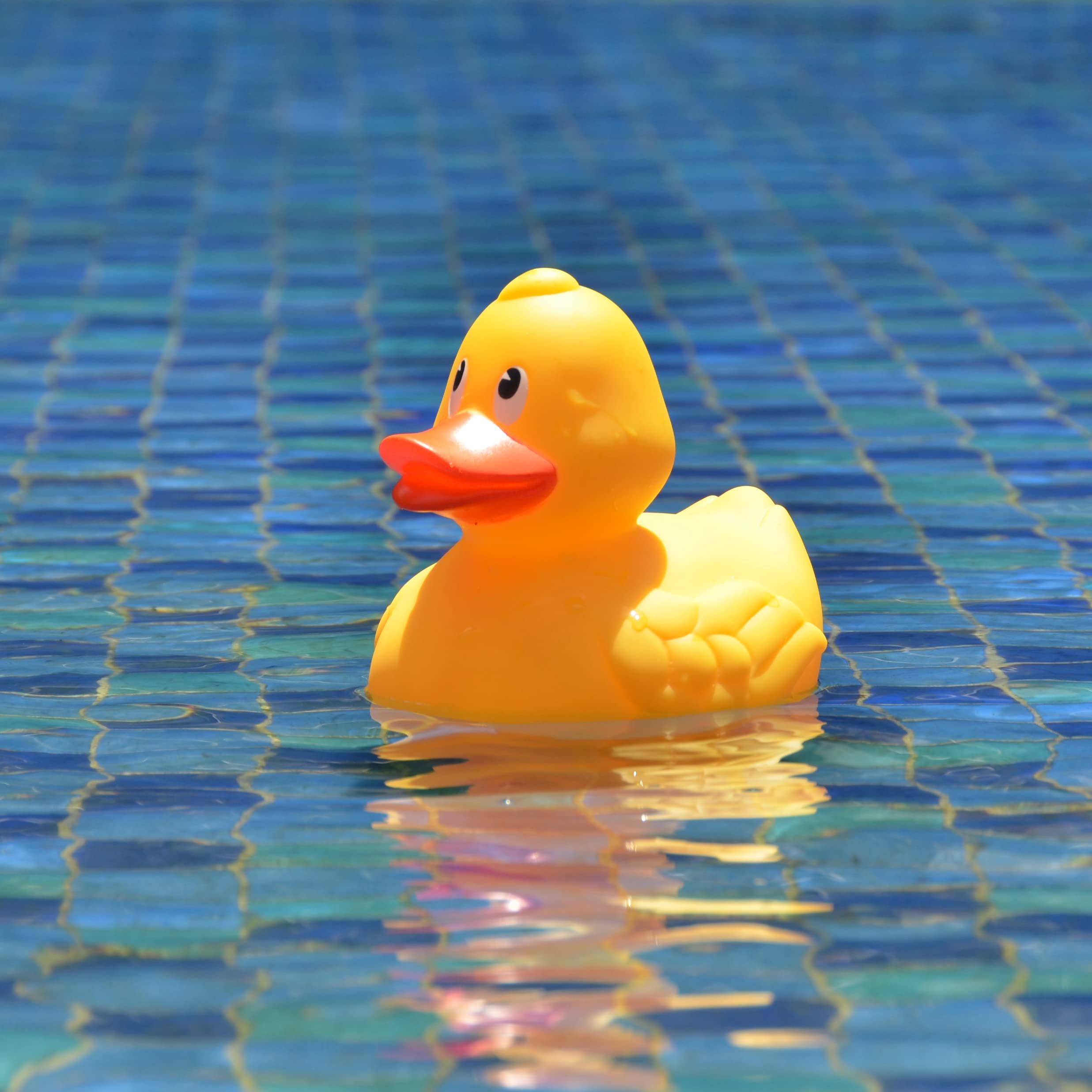 Foto 8 pulgar | Dispensador Flotante Para Piscinas Chlorine Floater Xy-wq Con Forma De Pato - Venta Internacional.