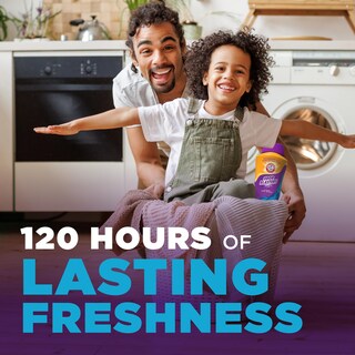 Foto 2 | Eliminadores De Olores Laundry Scent Booster Arm & Hammer, 1,3 L - Venta Internacional.