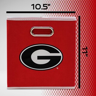Foto 2 | Contenedor De Almacenamiento Franklin Sports Ncaa Georgia Bulldogs - Venta Internacional.