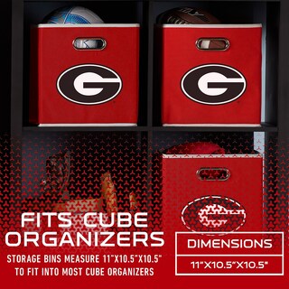 Foto 3 | Contenedor De Almacenamiento Franklin Sports Ncaa Georgia Bulldogs - Venta Internacional.