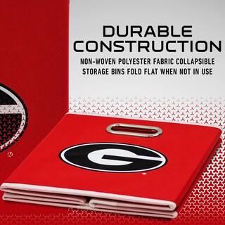 Foto 4 | Contenedor De Almacenamiento Franklin Sports Ncaa Georgia Bulldogs - Venta Internacional.