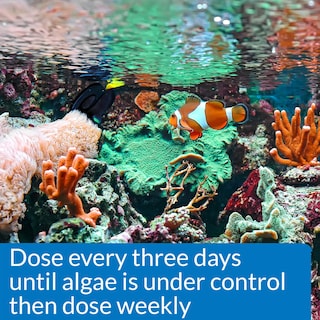 Foto 2 | Botella De 473 Ml Algae Control Api Marine Algaefix - Venta Internacional.