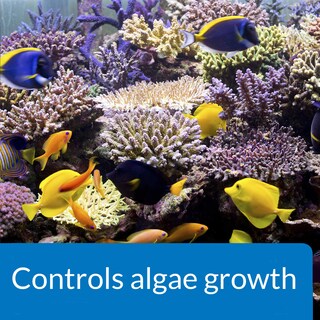Foto 4 | Botella De 473 Ml Algae Control Api Marine Algaefix - Venta Internacional.