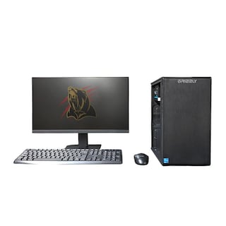 Foto 1 | Pc Grizzly Intel Pentium Gold G6405 4.1ghz 16gb Ssd 480 Monitor 22'' Kit 2 En 1 Wifi Pg-intel081