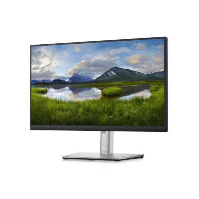 Foto 6 pulgar | Monitor DELL MONDLL2340 color Plata P2222h 210 Bbbw 21.5 Pulgadas 1920 X 1080