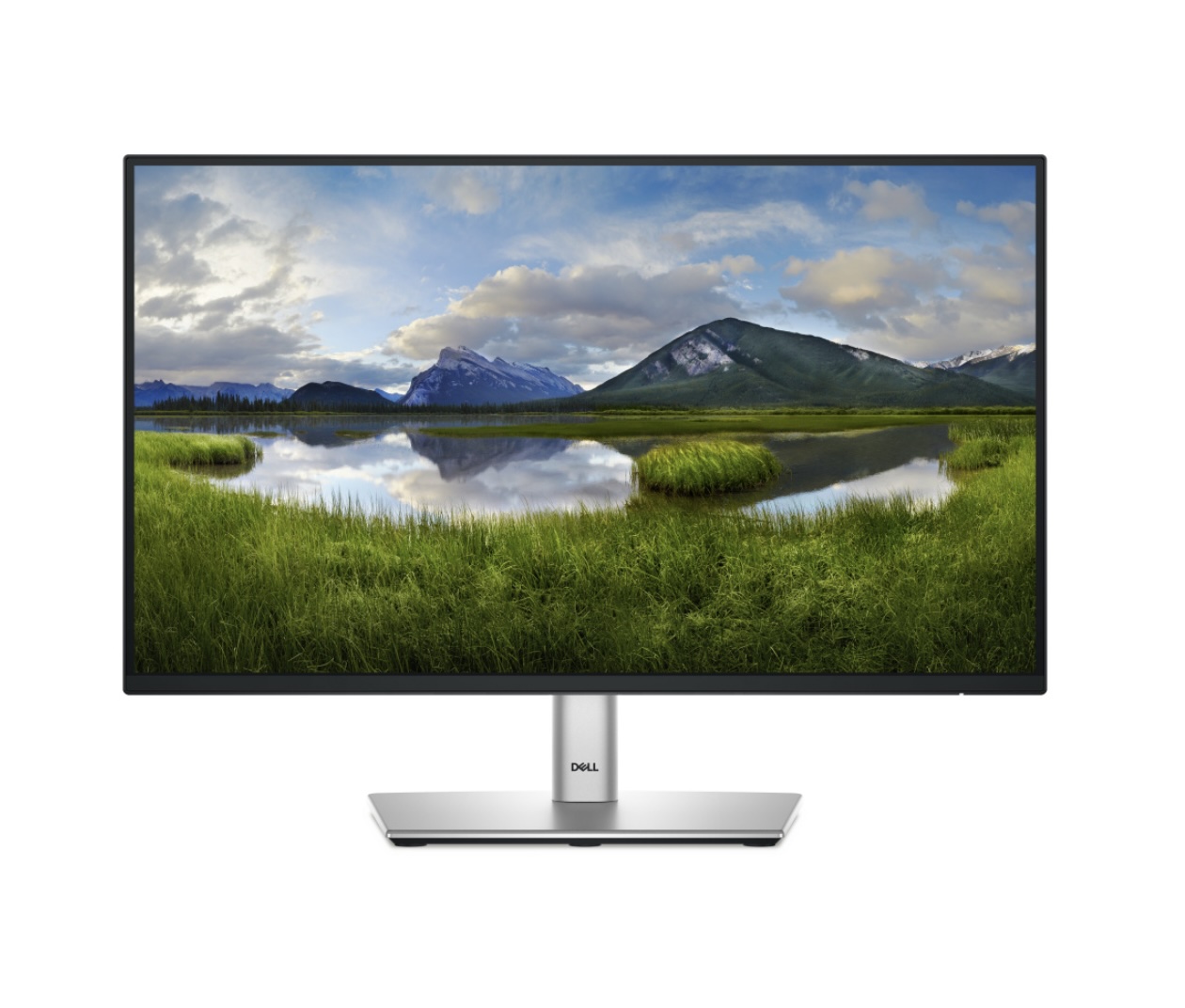 Foto 2 pulgar | Monitor Dell P2225H LCD 21.5" Full HD HDMI DisplayPort Negra y Plata