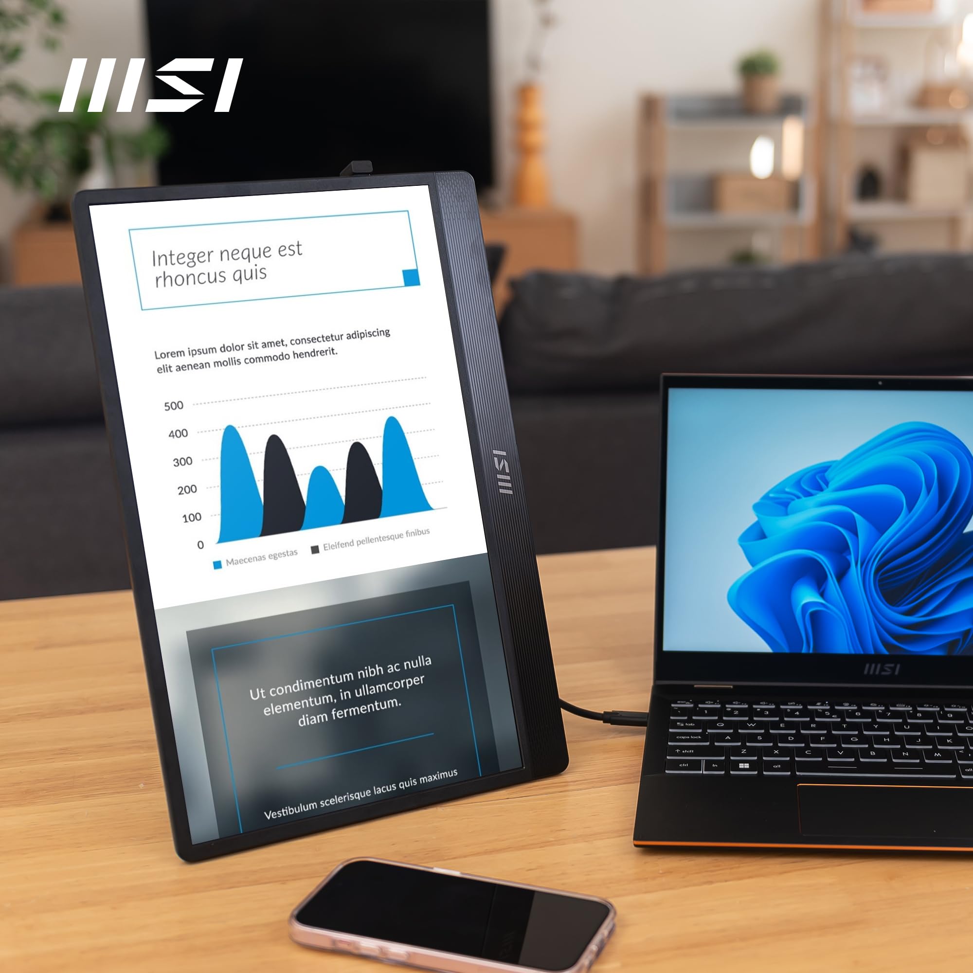 Foto 7 pulgar | Monitor Portátil Msi Pro Mp161 E2 15.6 Fhd Ips 1080p - Venta Internacional
