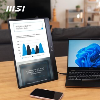 Foto 6 | Monitor Portátil Msi Pro Mp161 E2 15.6 Fhd Ips 1080p - Venta Internacional