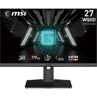 Foto 1 | Monitor Msi G272qpf, 27 Pulgadas, 2560 X 1440, Qhd, 170 Hz, 1 Ms - Venta Internacional.