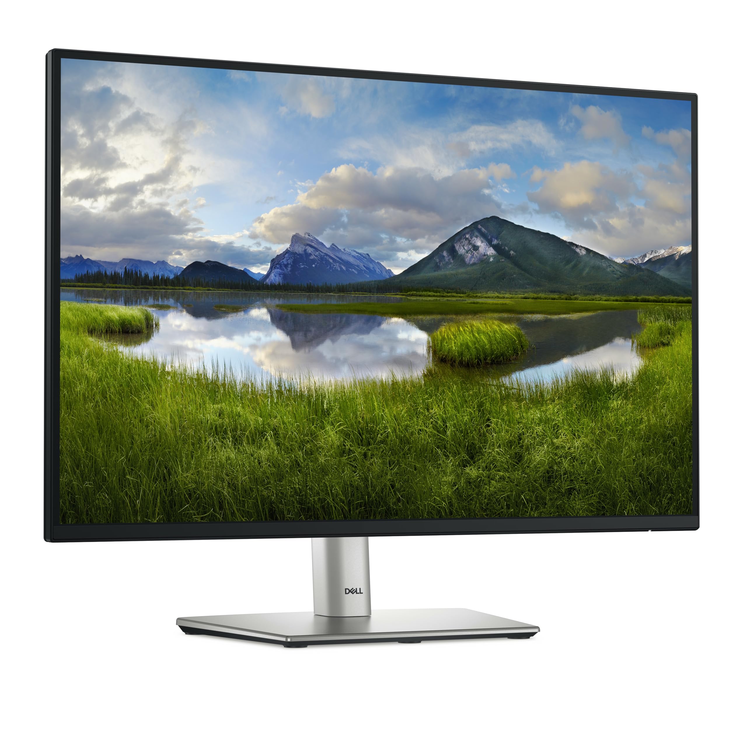 Foto 4 pulgar | Monitor Led Dell P2425e De 24 Pulgadas, 16:10 Y 300 Nits, Negro Y Gris - Venta Internacional.