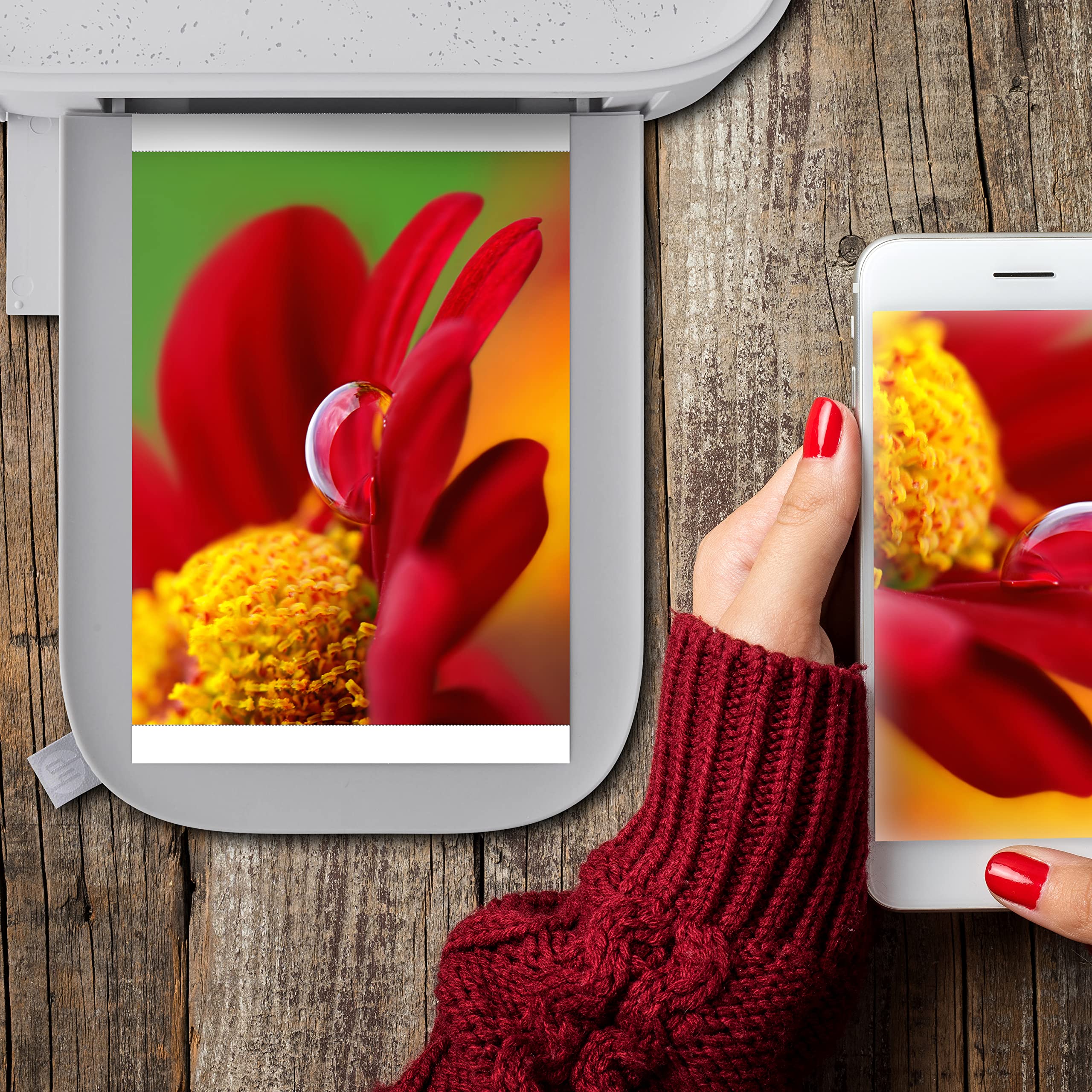 Foto 4 | Papel Fotográfico Y Cartuchos Para Hp Sprocket Studio Plus - Venta Internacional.