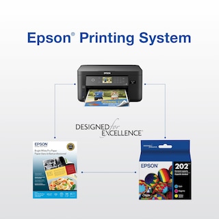 Foto 6 | Cartucho De Tinta Epson 202 Claria De Capacidad Estándar Negro Y Color - Venta Internacional.