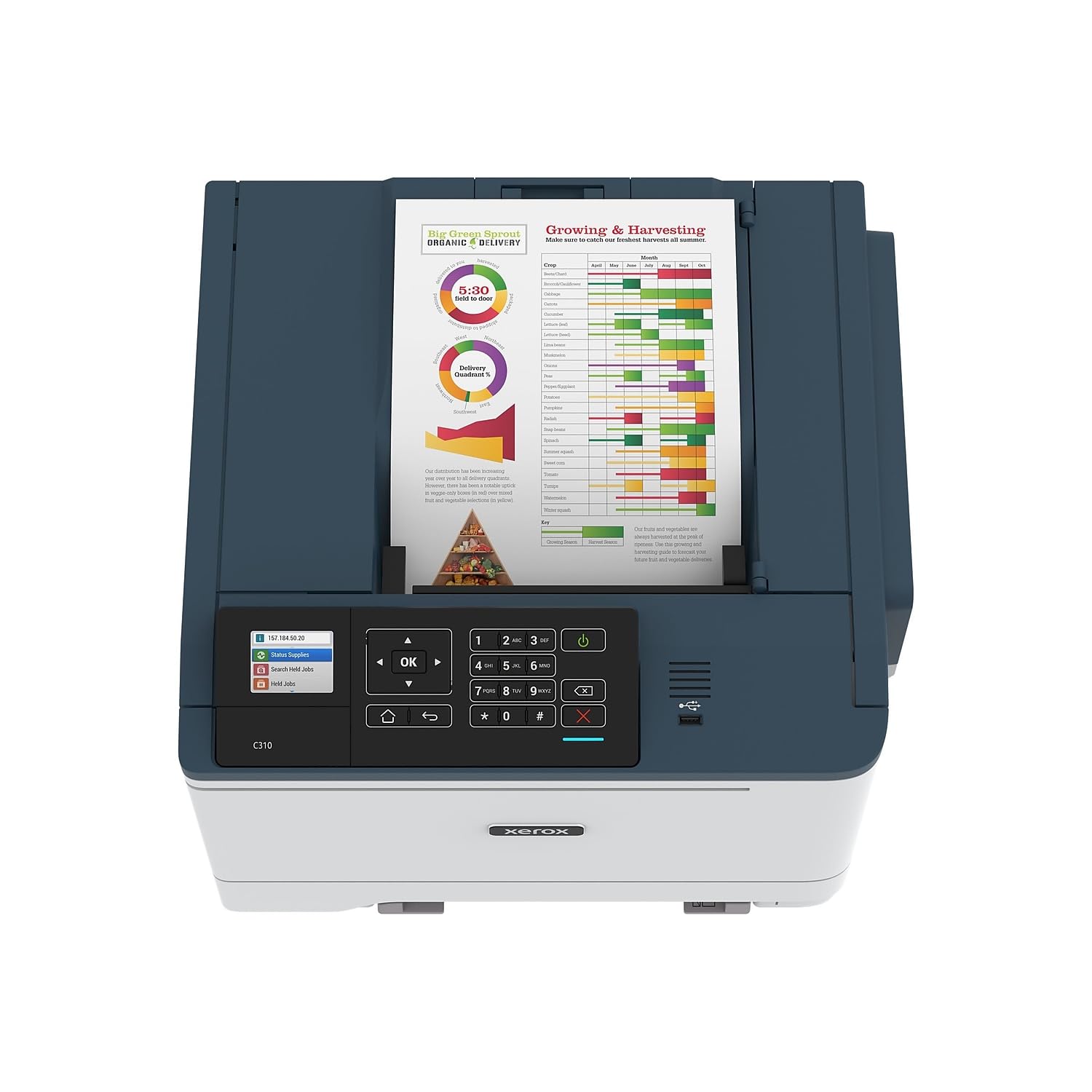 Foto 7 pulgar | Impresora Láser Color Xerox C310dni Inalámbrica 35ppm Letter - Venta Internacional.