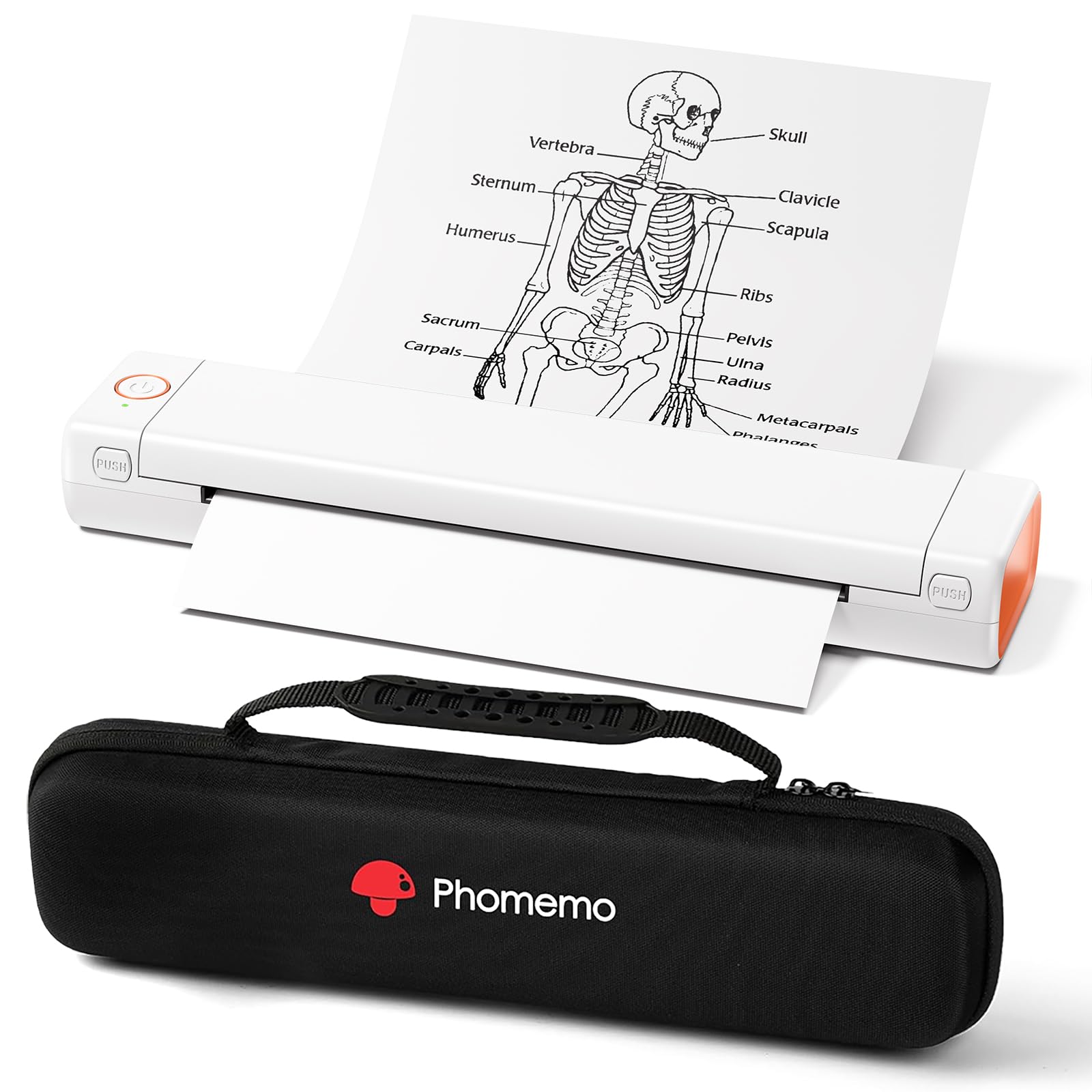 Impresora Portátil Phomemo M08f-letter Inalámbrica Ios Android - Venta Internacional.