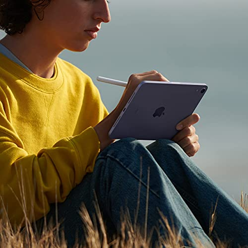 Foto 5 pulgar | Ipad Apple Mini 6 Renovado  Wi-fi  64 Gb  Starlight - Venta Internacional.