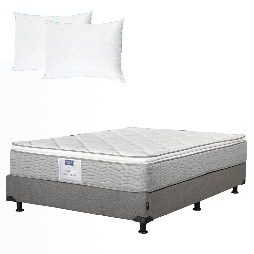 Colchón Dicasa Cupra Queen Size + Box Rivo color Gris + 2 Almohadas Osos