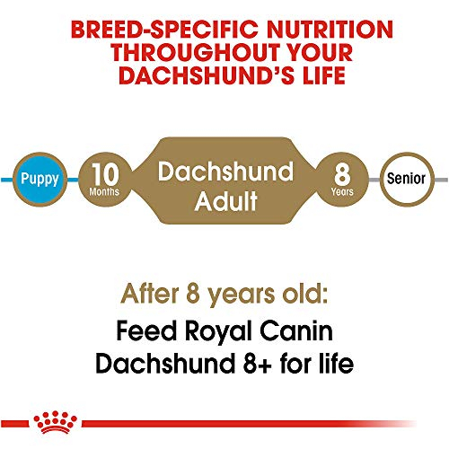 Foto 4 | Alimento Para Perros Royal Canin Dachshund, Raza Adulta, 4,5 Kg - Venta Internacional.