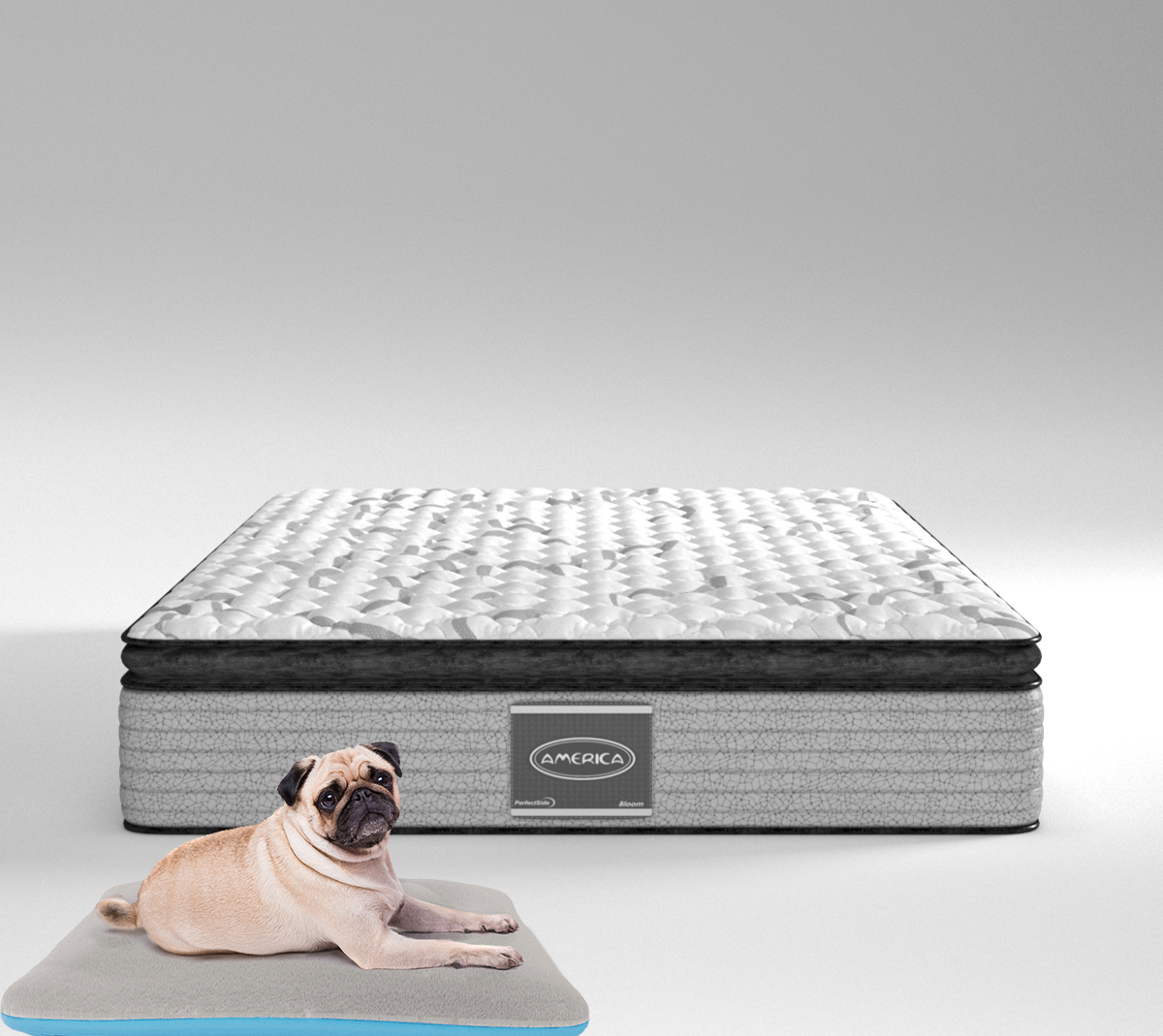 Colchon Matrimonial America Perfect Side + 1 Cama Para Mascota