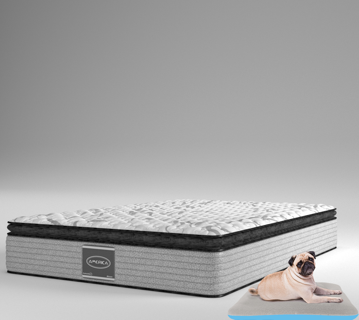 Colchon Individual America Perfect Side + 1 Cama Para Mascota