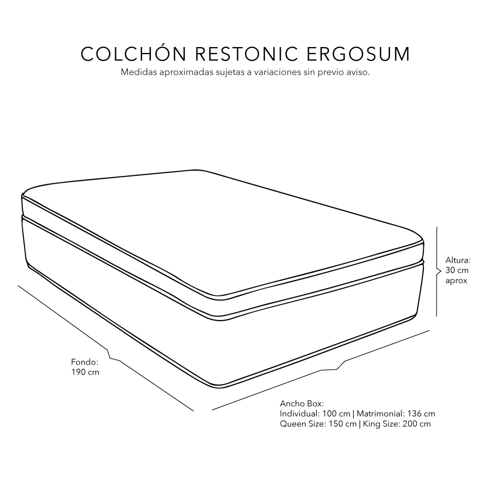 Foto 8 | Colchon Restonic Ergosum + Almohada 2pack + Protector Cloud + Sabanas Softy + Edredon Homy Queen Size