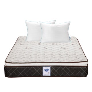 Foto 1 | Colchón Spring Air Minesota Color Café Queen Size + Almohada Royal Twin