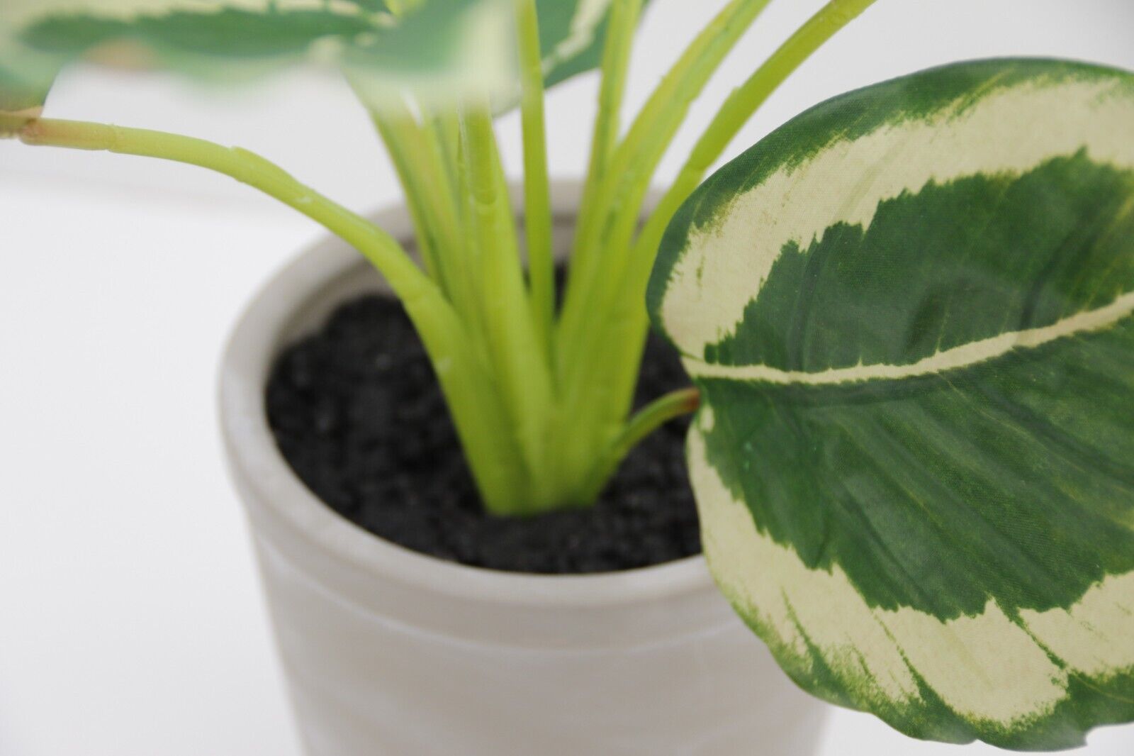 Foto 4 | Planta Calathea Sintética Para El Hogar Interior