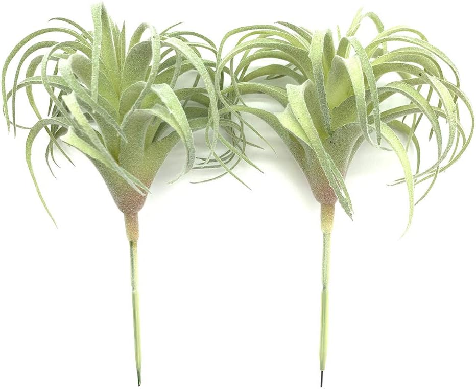 Foto 4 pulgar | Venta Internacional - Plantas Suculentas Artificiales Jieyou Real Touch, 17 Cm, 2 Unidades