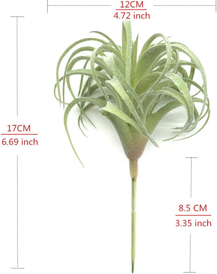 Foto 5 pulgar | Venta Internacional - Plantas Suculentas Artificiales Jieyou Real Touch, 17 Cm, 2 Unidades