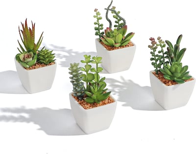 Foto 1 | Venta Internacional - Set de 4 Plantas Suculentas Artificiales en Macetas Blancas