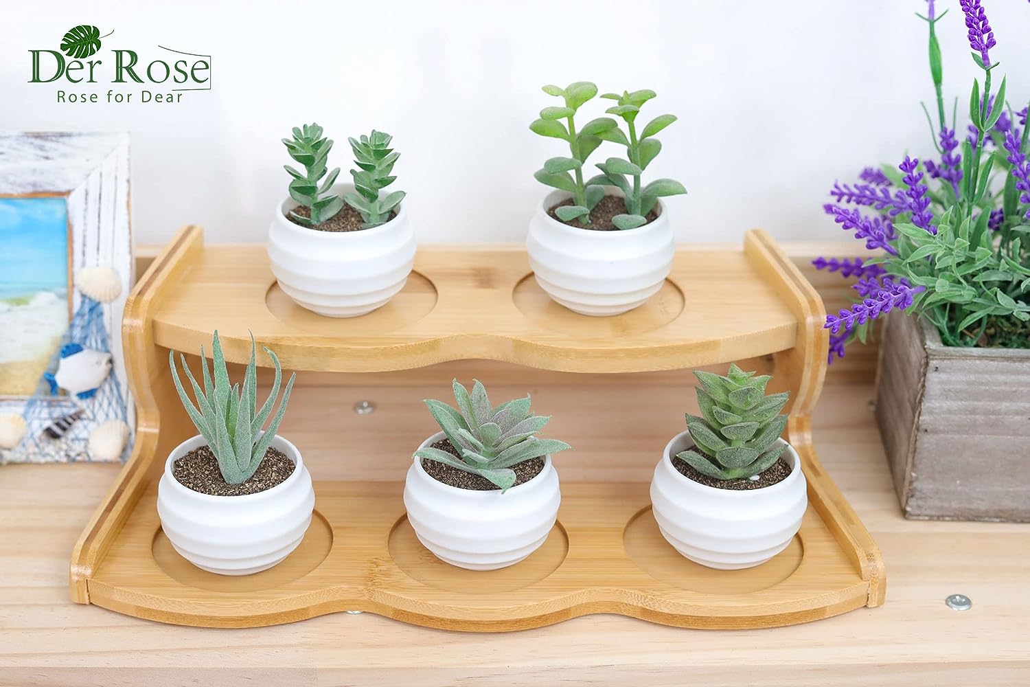 Foto 7 pulgar | Set de 6 Plantas Suculentas Artificiales en Macetas para Decoración del Hogar - Venta Internacional