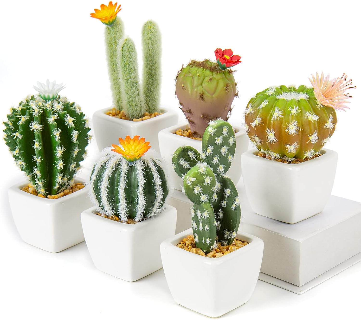 Foto 1 | Venta Internacional - Minicactus Artificiales Jieyou 6 Unidades