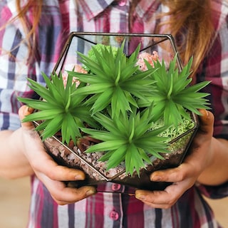 Foto 5 | Venta Internacional - Plantas Suculentas Artificiales Jieyou sin Maceta 4 Unidades