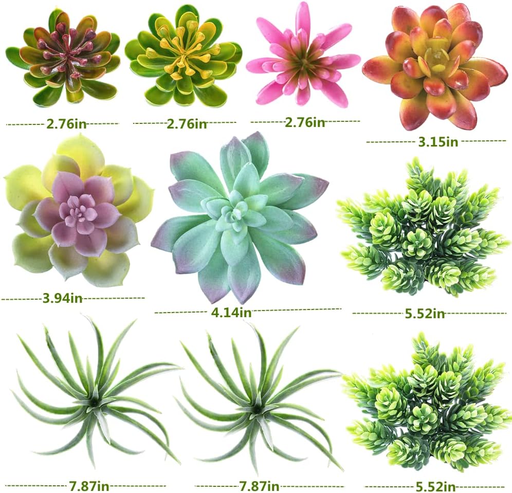 Foto 7 pulgar | Venta Internacional - Suculentas Artificiales Jieyou 24 Plantas sin Maceta con Forma Realista