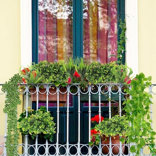 Foto 8 | Venta Internacional - Plantas Colgantes Artificiales Jieyou 16 Piezas
