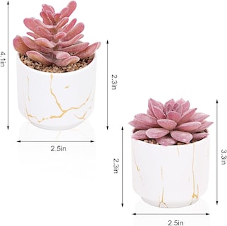 Foto 2 | Venta Internacional - Plantas Artificiales Suculentas con Macetas de Cerámica Jieyou 2 Unidades
