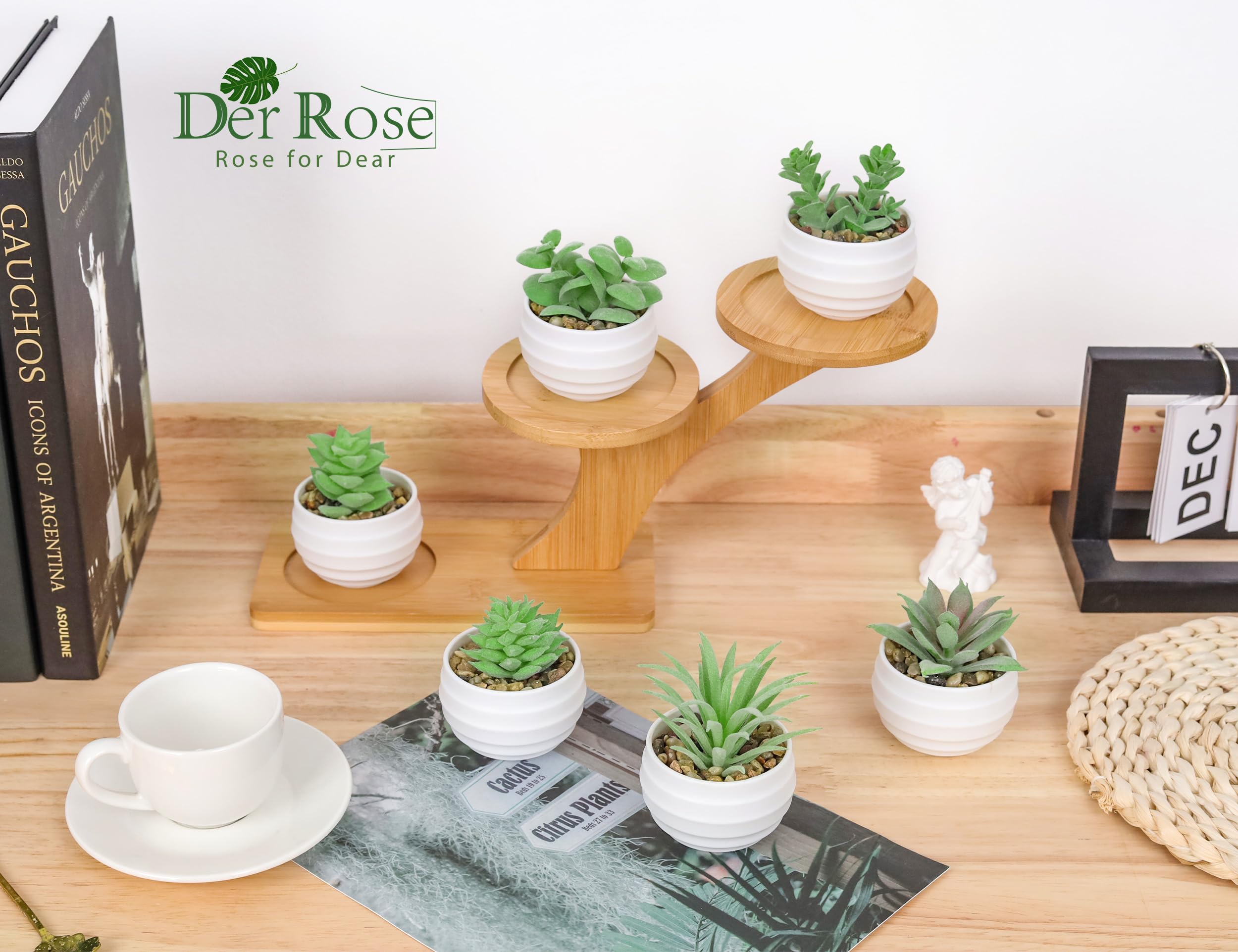 Foto 5 | Set De Suculentas Artificiales Der Rose Con 6 Plantas Para Decoración Del Hogar - Venta Internacional.