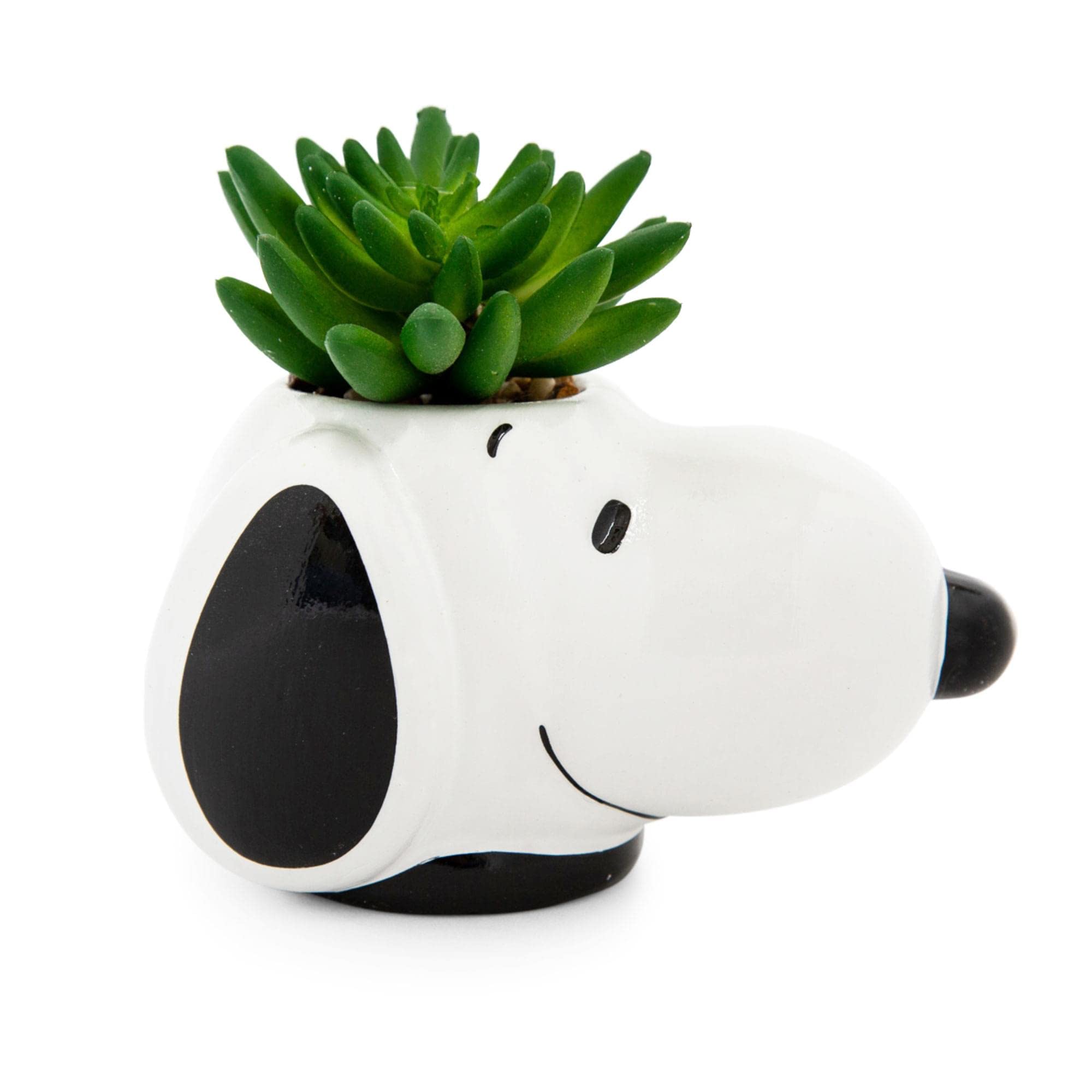 Foto 2 pulgar | Mini Maceta de Cerámica Cara de Snoopy con Plantas Suculentas Artificiales - Venta Internacional