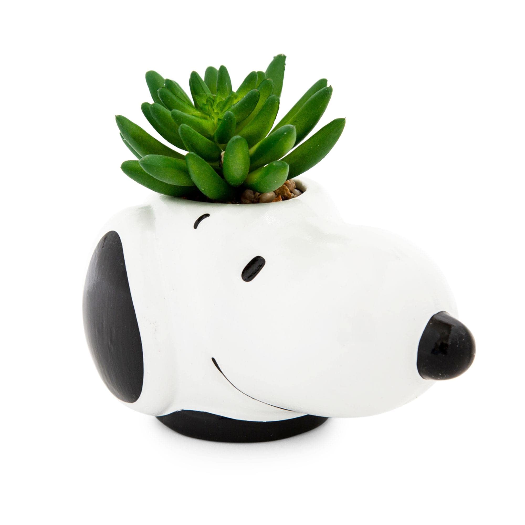 Foto 4 pulgar | Mini Maceta de Cerámica Cara de Snoopy con Plantas Suculentas Artificiales - Venta Internacional