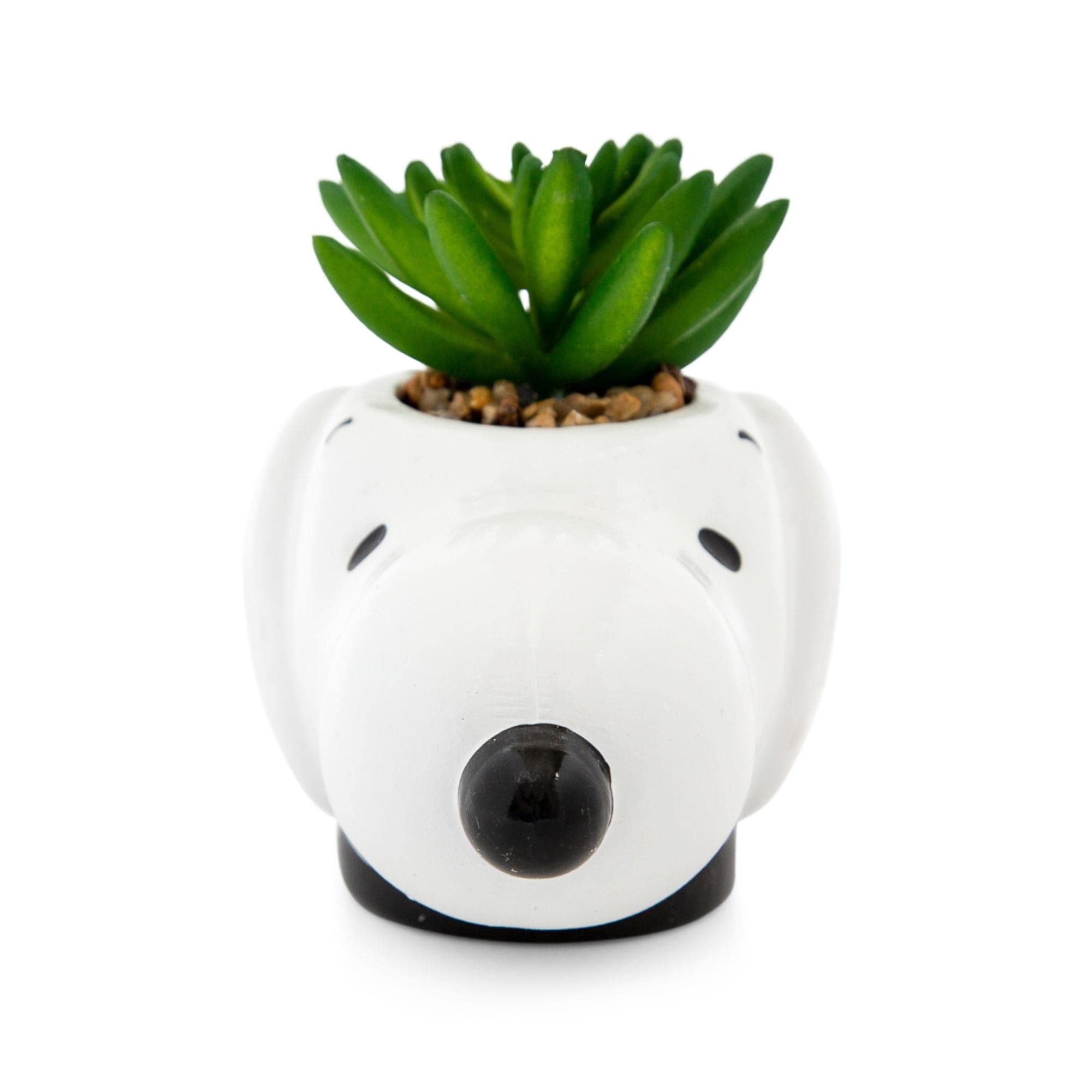 Foto 4 | Mini Maceta de Cerámica Cara de Snoopy con Plantas Suculentas Artificiales - Venta Internacional