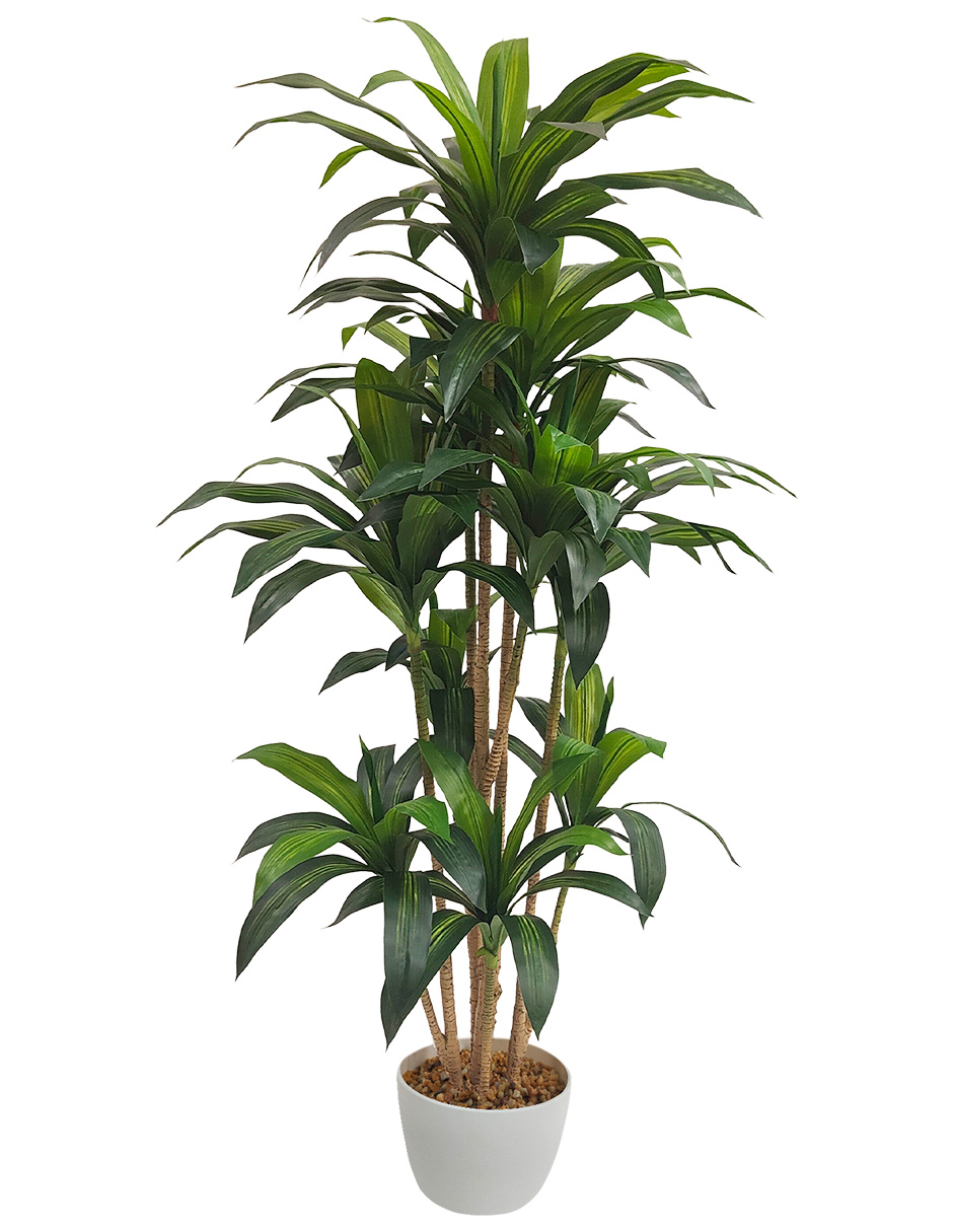 Planta Artificial Decorativa Moderna Con Maceta Dracaena Palo De Brasil Grande De 170cm De Alto Artego