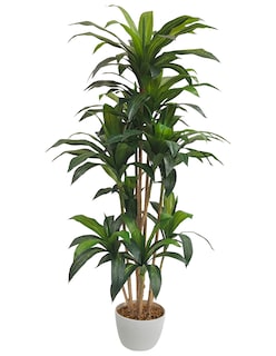 Foto 1 | Planta Artificial Decorativa Moderna Con Maceta Dracaena Palo De Brasil Grande De 170cm De Alto Artego