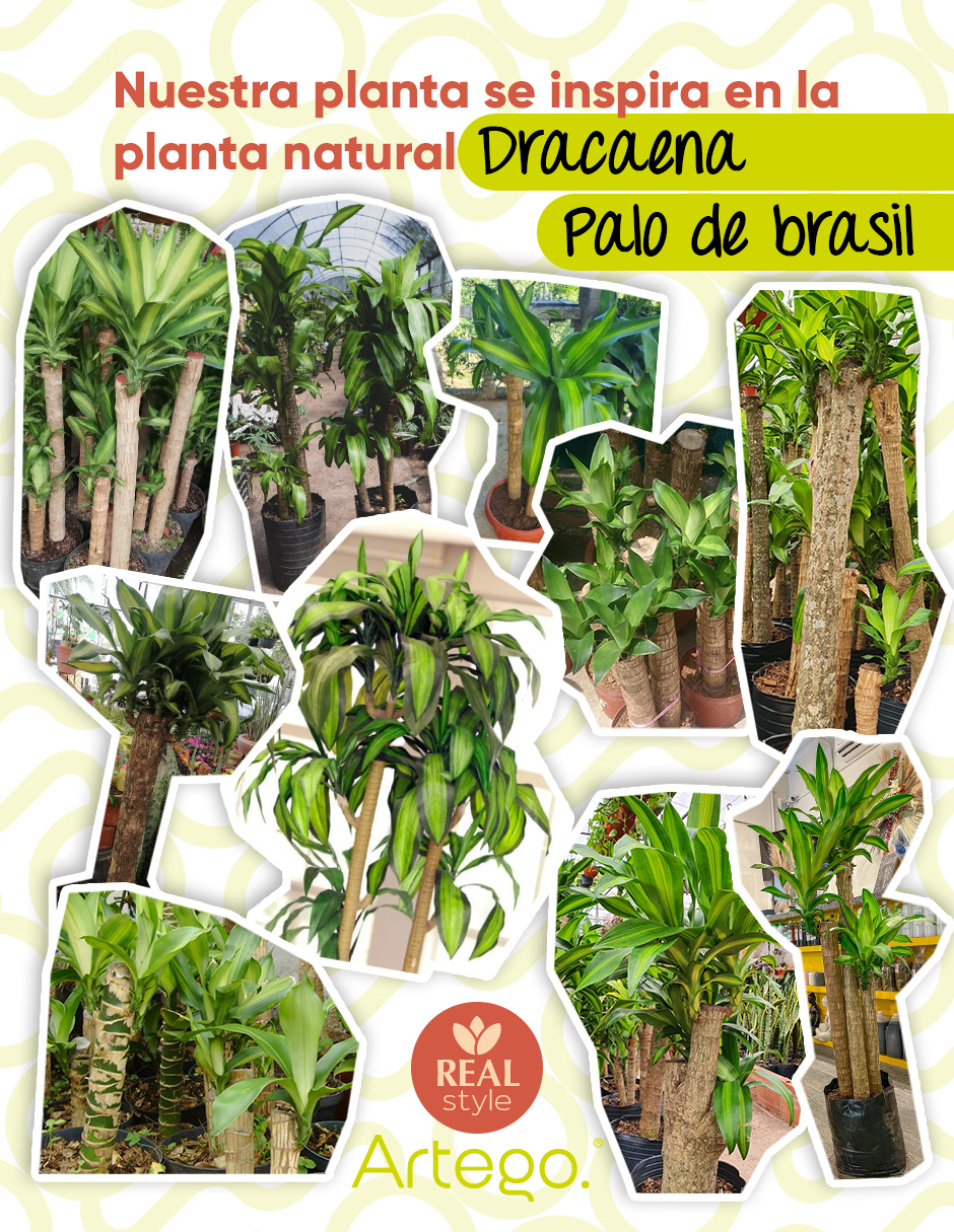 Foto 5 pulgar | Planta Artificial Decorativa Moderna Con Maceta Dracaena Palo De Brasil Grande De 170cm De Alto Artego