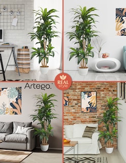 Foto 5 | Planta Artificial Decorativa Moderna Con Maceta Dracaena Palo De Brasil Grande De 170cm De Alto Artego